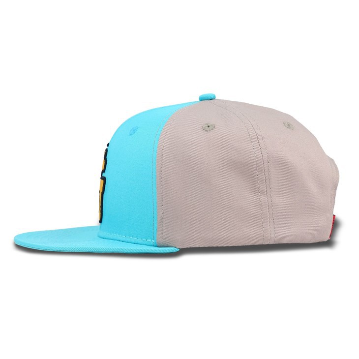 Lake Green Spliced Gray Snapback Cap