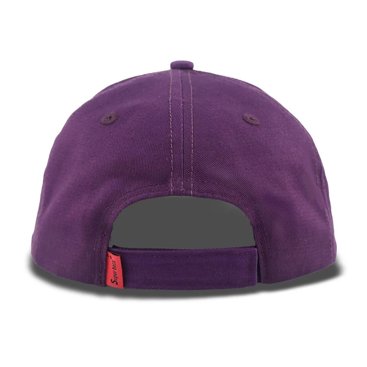 Purple Owl Baseball Cap